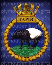 HMS Tapir Magnet